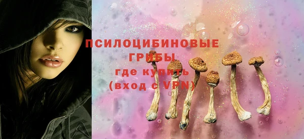 сатива Алексин