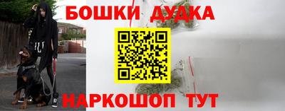 сатива Гай