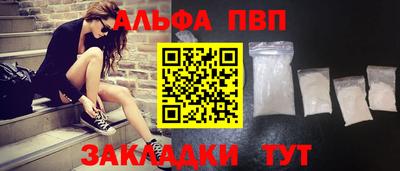 сатива Гай