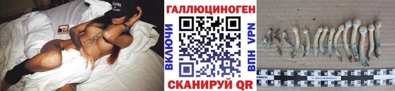 ссылка на мегу как зайти Кимры Псилоцибиновые грибы Cubensis